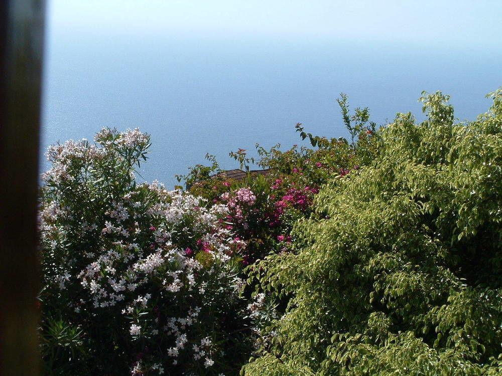 Casa Las Las Vinas Fuencaliente de la Palma Exteriér fotografie