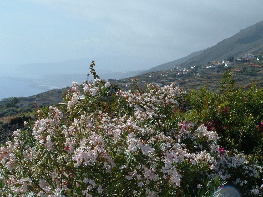Casa Las Las Vinas Fuencaliente de la Palma Exteriér fotografie