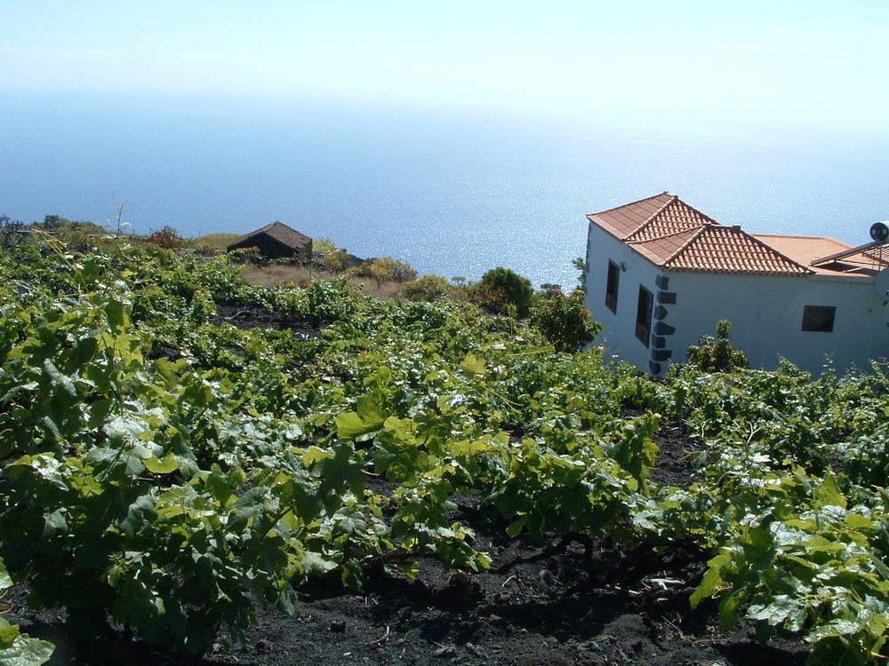 Casa Las Las Vinas Fuencaliente de la Palma Exteriér fotografie