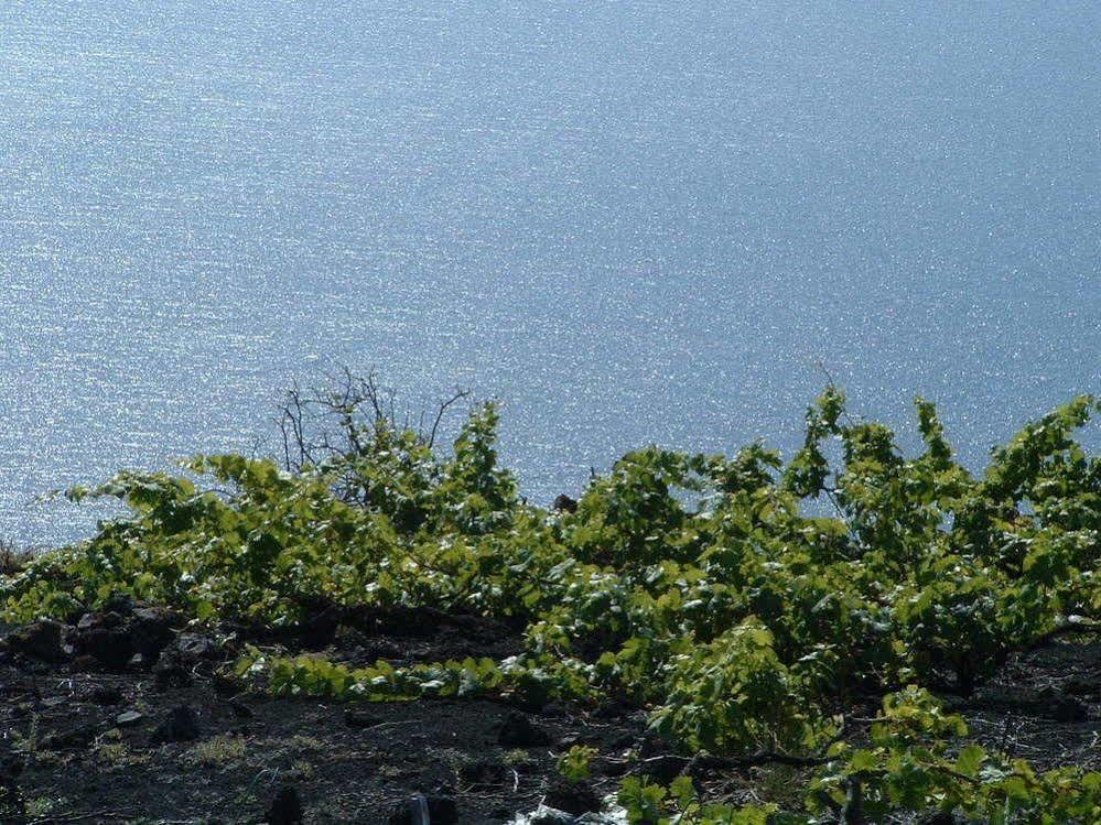 Casa Las Las Vinas Fuencaliente de la Palma Exteriér fotografie
