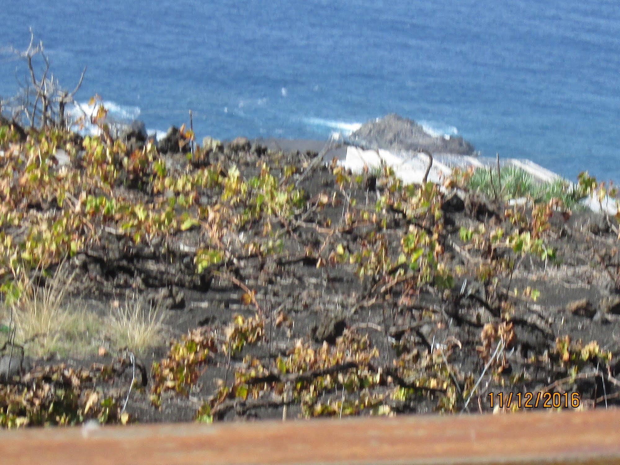 Casa Las Las Vinas Fuencaliente de la Palma Exteriér fotografie